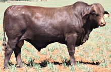 Lot 2