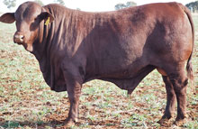 Lot 3