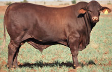 lot 4
